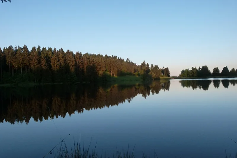 Harz